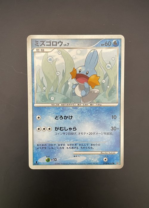 Mudkip #308