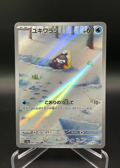 Snorunt #63