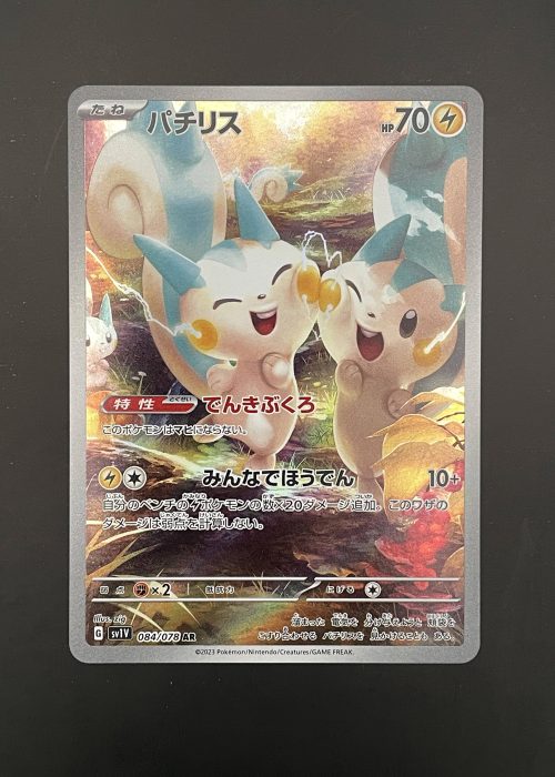 Pachirisu #84