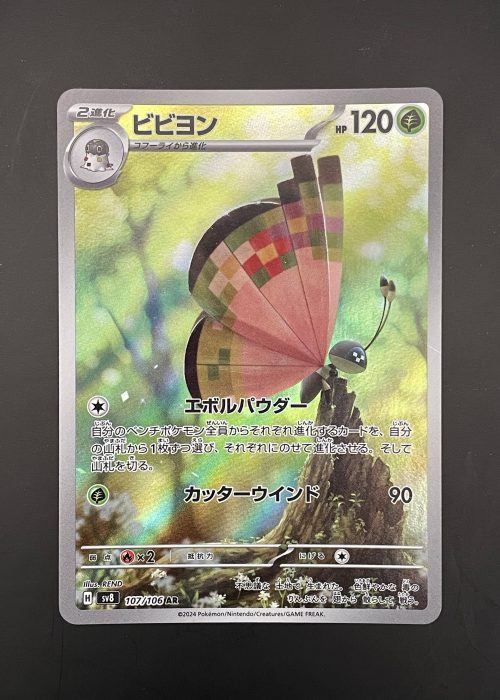 Vivillon #107
