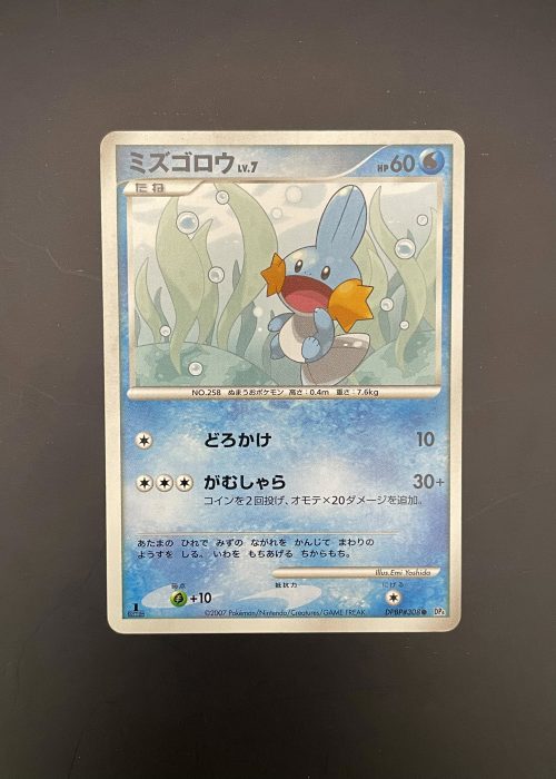 Mudkip #308