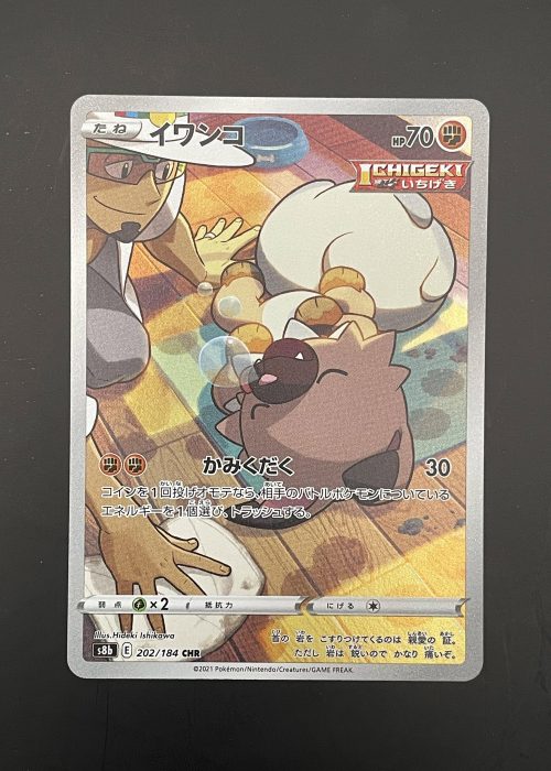 Rockruff #202
