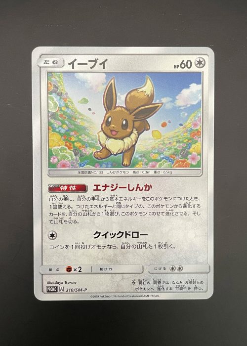 Eevee #310