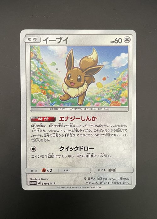 Eevee #310