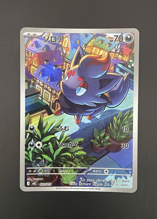 Zorua #20