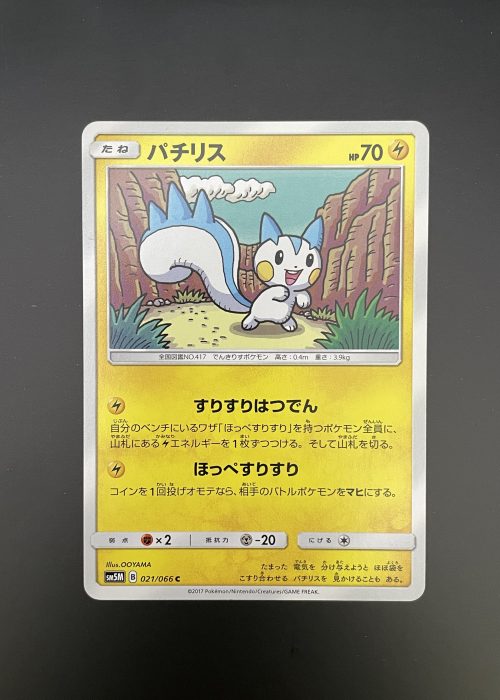 Pachirisu #21-1-NM