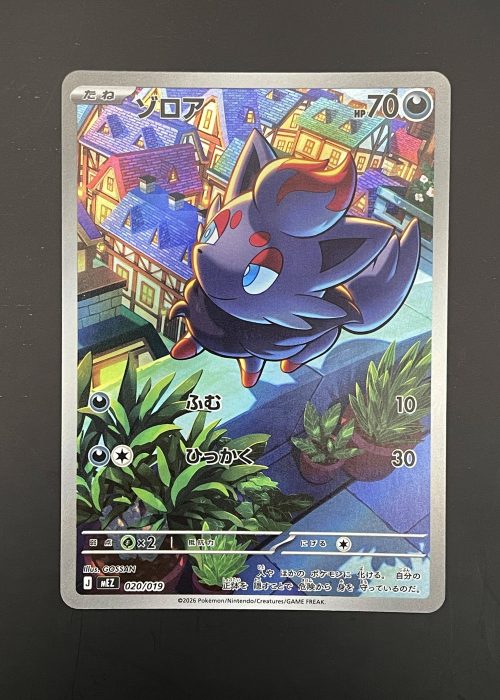 Zorua #20