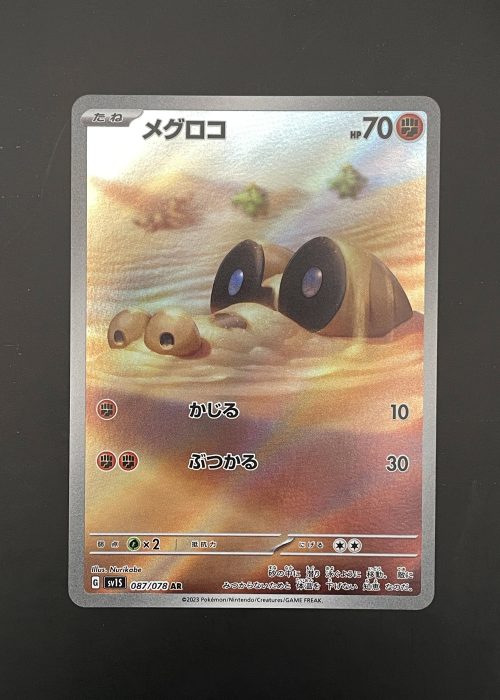 Sandile #87