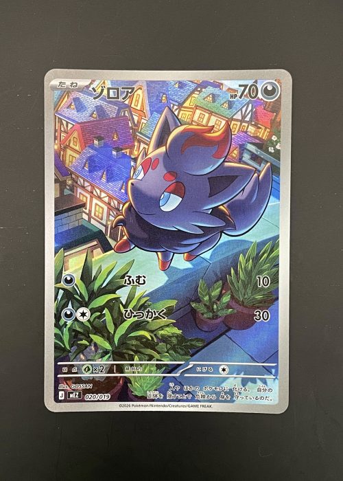 Zorua #20
